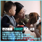 [카드뉴스] 법과 현실 사이... 반려동물 전용 펫택시(Pet Taxi) 논란