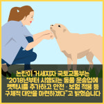 [카드뉴스] 법과 현실 사이... 반려동물 전용 펫택시(Pet Taxi) 논란