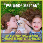 [카드뉴스] 법과 현실 사이... 반려동물 전용 펫택시(Pet Taxi) 논란