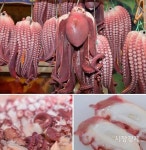 양포 바닷바람에 키 큰 문어가 꾸덕꾸덕