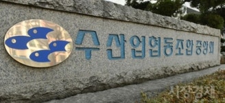 영업손실만 138억... 만성적자 구멍 뚫린 수협유통