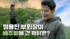 해남서 배추 뽑는 정용진... 신세계 부회장님은 홍보 열일 중