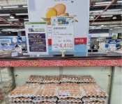 농협중앙회, 창립 60주년 안심계란 특별할인행사 진행