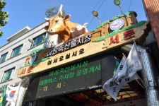 [시장통통] 한번 잡솨바~ 아재네 고기... 정육점 라방에 3만 동접