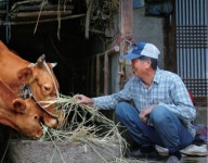 [시장통통] 진짜 한우 맛 찬사... 온라인서만 35억 팔아치운 이 곳