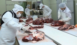 [시장통통] 진짜 한우 맛 찬사... 온라인서만 35억 팔아치운 이 곳