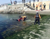 부산 기장 동백항 근처 경차 추락... 40대 여성 운전자 숨져