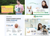 미등록 반려동물 수두룩한데... 너무 나간 펫 보험 의무화
