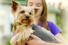 [AI공시] 플럼라인생명과학, 감사보고서 제출