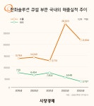한화는 다 계획이 있구나… 한화큐셀, 美 IRA·탠덤 셀 공략