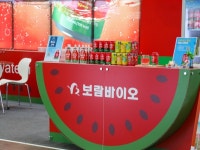 보람바이오, 재무구조 개선... 치매 치료 천연 원료 개발