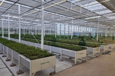 글로벌 확장 나선 리만코리아, 독자 성분 경쟁력 제주에서 찾았다