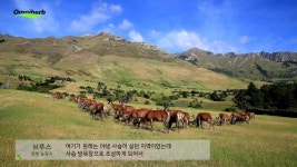옴니허브, ‘청정 뉴질랜드 녹용’ 홍보 동영상 한의원 무료 제공