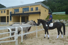 지자체 공공 승마장, 주민 품으로