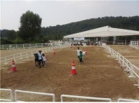 깊어가는 가을…교육기관 주도로 승마 대회 열려