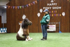 말(馬) 테마파크 ‘노던홀스파크’를 다녀오다