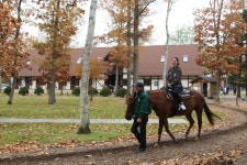 말(馬) 테마파크 ‘노던홀스파크’를 다녀오다