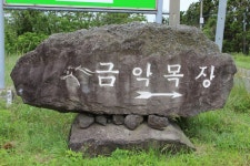 [목장] 금악목장 ‘페더럴리스트’ 첫 자마들, 올해 경마 경주로 첫 선