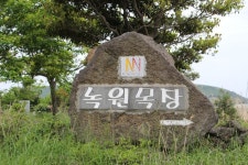 [제2차 종합계획 톺아보기4] 말산업 수요 창출 근간은 역시 말(馬)