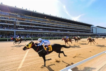 한국마사회, ‘책임 경마’ 연구 용역 발주…공공성 제고