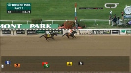 마사회 국가대표마(馬), 세계 경마 올림픽에서 모습 볼 수 있을까