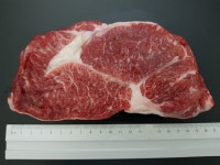 어제는 한우데이…오늘은 말고기 어때!