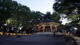 남산타워에서 바라본 서울 야경, 미세먼지 없는 날 떠나는 서울 여행
