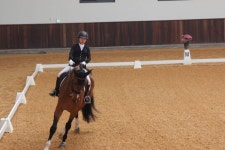 2019 풀뿌리 발리오스 주니어 승마대회 개최