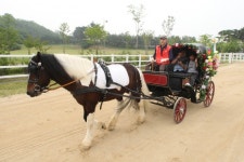 마사회, 마차산업 한 단계 끌어올린다