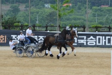 마차산업 발전에 지원 아끼지 않는다