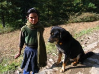 [ 피케기행 45 ] 나징 마을 삼거리 주막집