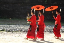 [미얀마 기행 3] 탑의 세상 므락우(Mrauk-U)