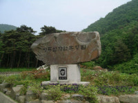 연간 15만여명의 관광객이 찾는 곳 보령 성주산 자연휴양림, 각종 편의시설과, 편백숲, 황톳길 등 휴식공간!