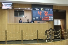 경주마생산자협회, 11월 경매 시행