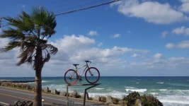 [굿모닝 제주, 굿나잇 제주] 바다를 달리는 자전거-모닝♡