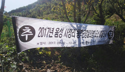 운명의 1907년 9월 19일, 그 때 사정리에는 무슨 일이 있었을까?