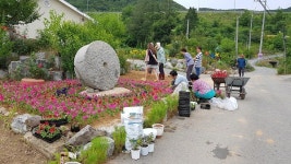 <음성의 소리> 금왕읍 용계2리 주민영상…소중한 꽃길 추억