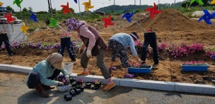 <음성의 소리> 금왕읍 용계2리 주민영상…소중한 꽃길 추억