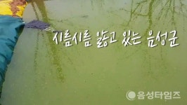 [기획탐사] 음성군 금왕읍 유촌리 녹조범벅 지하수…죽은 물로 농사를?