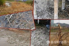 바닥 드러나자 밝혀진, 충북혁신도시 수변공원 악취 원인