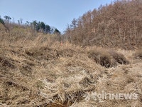 음성군의회 임옥순 의원, 음성읍 신천리 땅 투기성 매입 의혹 파문