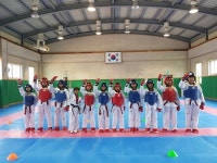 청도초, 경북학생체육대회 태권도 메달`풍년`