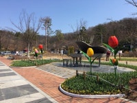 달성 사문진주막촌에 花사한 봄꽃 구경 하세요