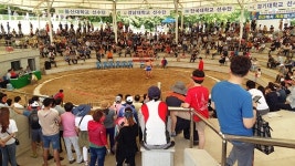 경산자인단오제 `대학장사 씨름대회` 성료