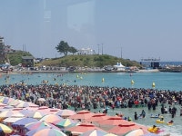 30만명 피서객， 구룡포서 오징어 잡고 물놀이 즐겼다