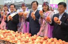영천과일축제， 울산하나로 마트서 개최 큰 성과
