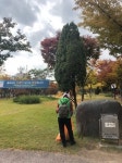 대구서구 퀸스로드 공원 쓰레기로 몸살… 구청은 뒷짐