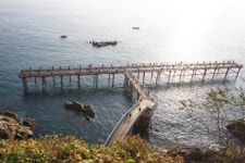 겨울바다 감성돔의 짜릿한 손 맛, 울진 `나곡 낚시공원`서 느끼세요