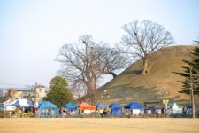 경주 프리마켓 봉황장터, 황리단길 도심 잇는 新시장형 관광콘텐츠 