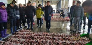 ˝대게의 계절， 울진 죽변항으로 오시게˝